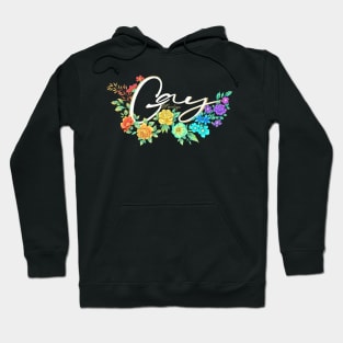 Gay rights - black bg Hoodie